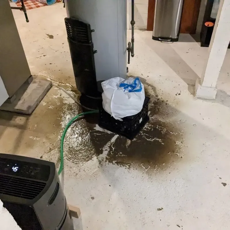 Sewage Backup Cleanup Service in Valley, AL